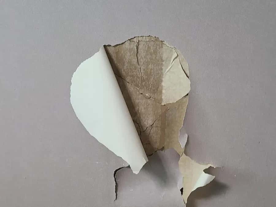 벽지가 찢어져 안쪽 석고보드가 드러난 벽