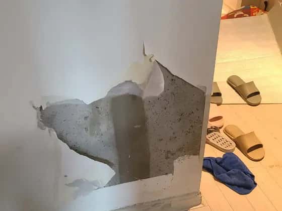 벽지가 뜯겨 회색 석고보드가 드러난 벽