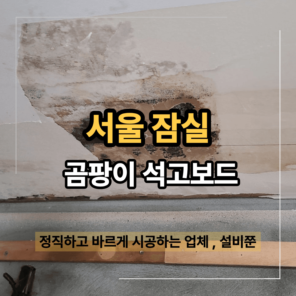 잠실 윗집 누수 도배 곰팡이 제거 석고보드 복구 현장