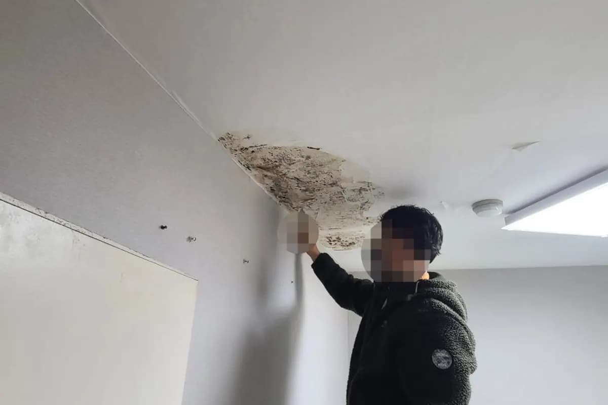 부분 도배 시공 현장
