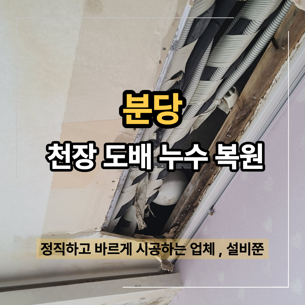 분당 도배 업체 윗집 누수 곰팡이 핀 천장 복원 석고보드 교체